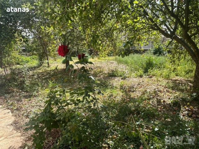 Оране фрезоване и мулчиране на дворове, снимка 3 - Други услуги - 53048896