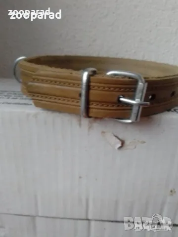 Нашийник капрон: , снимка 6 - За кучета - 49861668