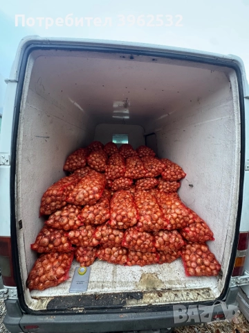 Продавам лук Лясковски , снимка 2 - Домашни продукти - 52369477