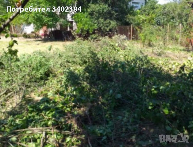 Рязане на високи и опасни дървета и почистване на дворове от треви и храсти., снимка 14 - Градинска техника - 36933277