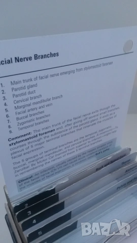 Флаш карти по анатомия Netter's Anatomy Flash Cards - 5th edition, снимка 9 - Учебници, учебни тетрадки - 54084473