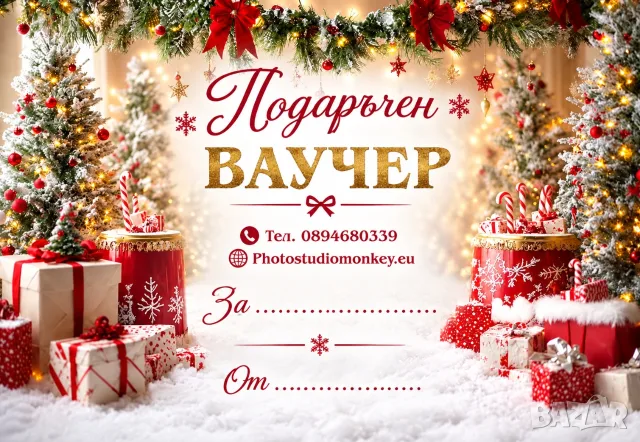 Коледни сесии Ягодово , снимка 3 - Други услуги - 56366972
