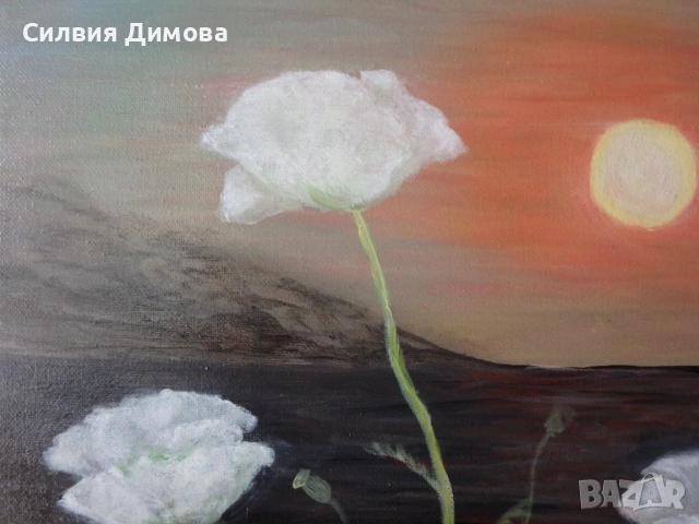 Бели макове, маслени бои, снимка 6 - Картини - 54330869
