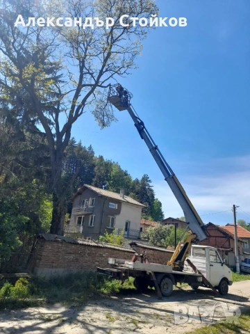 Рязане и кастрене на дървета с автовишка, снимка 9 - Други услуги - 54006380