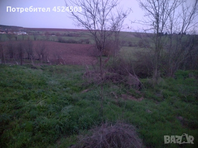 Дворно място село Цани Гинчево