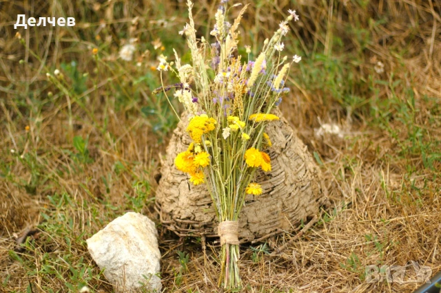 Пана и букети от сухи цветя, снимка 5 - Декорация за дома - 51338916