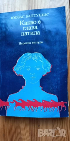 Какво е глава патила - Юозас Балтушис