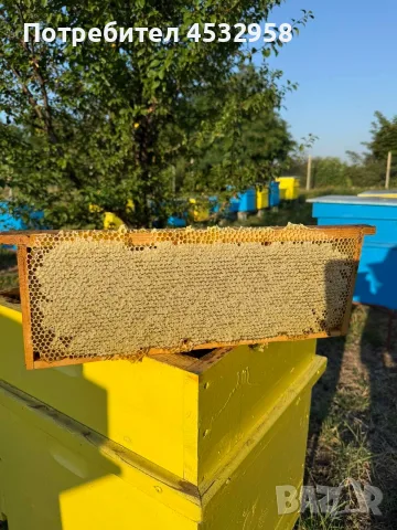 Пчелен мед, реколта 2026, букет, снимка 11 - Пчелни продукти - 56436855