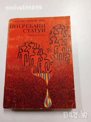 Антонио Бенитес Рохо - Погребани статуи