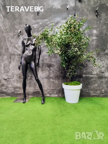 Декорация за ресторант-хотел , снимка 11 - Декорация за дома - 48672408