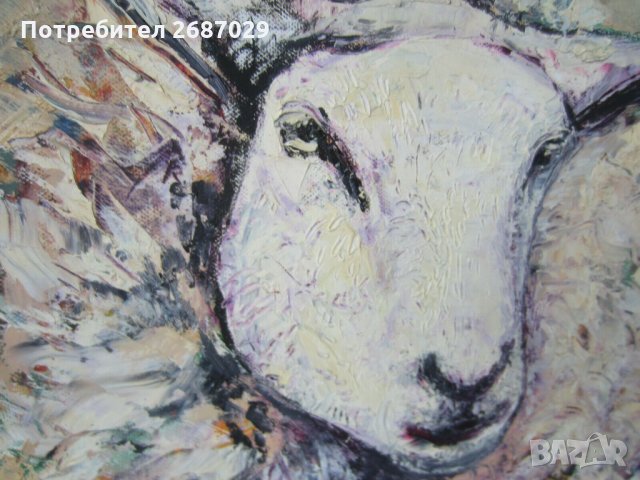 овца картина 40х40 оригинал маслени бои, снимка 2 - Картини - 31346844
