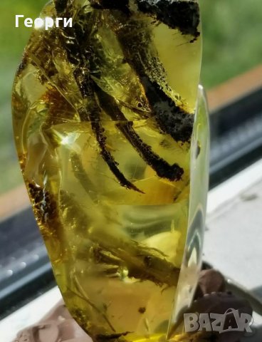 Уникално парче Балтийски кехлибар с отлично съхранени фосили, снимка 9 - Други ценни предмети - 34014656