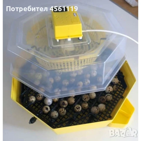 подарявам автоматичен инкубатор клео 5, снимка 1