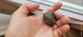 Метеорит , снимка 4