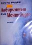 Коста Радев - Лабиринтът към Монтевидео, снимка 1 - Българска литература - 29690537