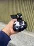 Шуменски гълъби, снимка 7