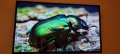 Телевизор jvc 49 led smart tv, снимка 4