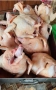 продавам бройлерни кокошки за клане, снимка 3