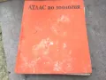 АТЛАС ПО ЗООЛОГИЯ 1974 1002250452, снимка 7