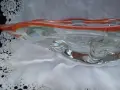 Винтидж фруктиера * МУРАНО *, снимка 2