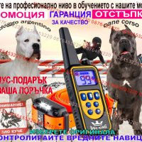 Електронен нашийник , снимка 4 - За кучета - 32599550