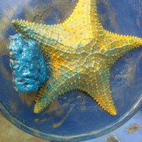 Морска звезда, снимка 1 - Други ценни предмети - 40111824