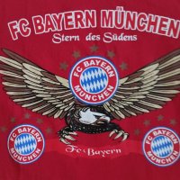 Две тениски Байерн Мюнхен, Bayern Munichen, снимка 16 - Тениски - 33468327