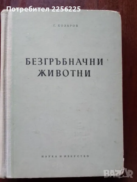 Безгръбначни животни ( част 1 ), снимка 1