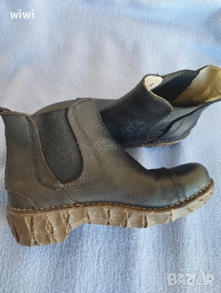 El naturalista номер 36., снимка 1