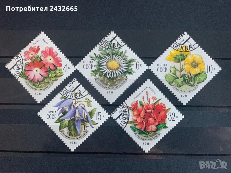 330б. СССР 1981 = “ Флора. Цветя от Карпатите”, снимка 1