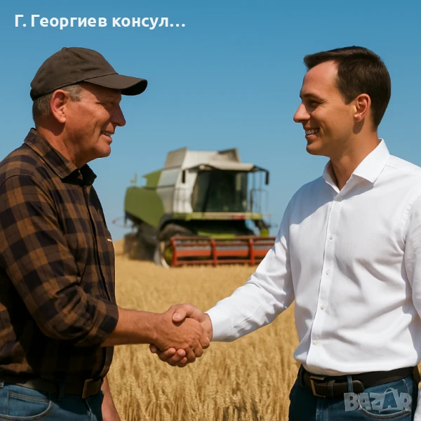 Ниви с. Светослав, снимка 1