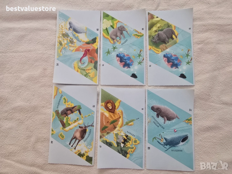 Невероятните Животни По Света Стикери, снимка 1