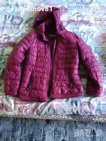 Дамско зимно яке