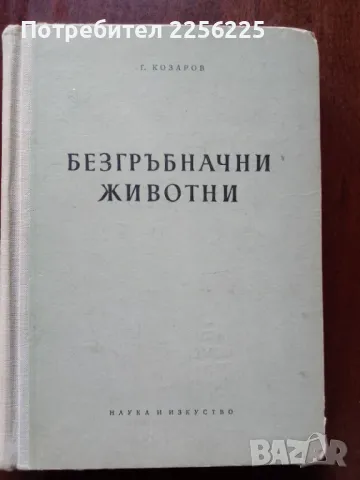 Безгръбначни животни ( част 1 )