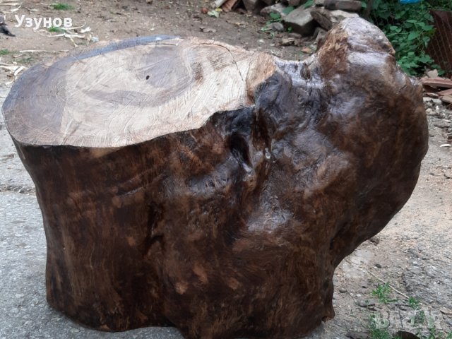 Голям дъбов пън, снимка 3 - Декорация за дома - 37897763