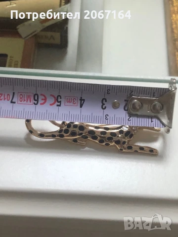 Красива брошка, снимка 5 - Други - 50886354