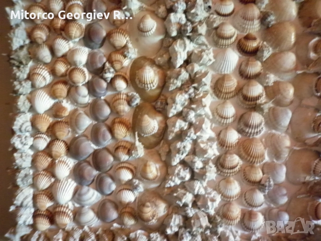 имоти в Гърция, село Карица 