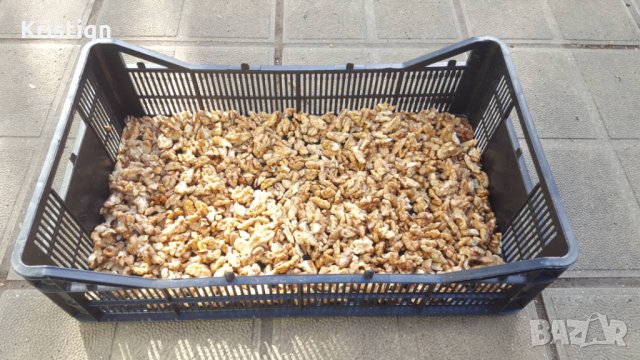 Градински орех и орехова ядка прясна реколта 2023, снимка 2 - Други - 30208711