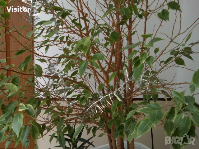 фотоапарат MAGINON Splash 8    8MPx, снимка 15 - Фотоапарати - 52953703