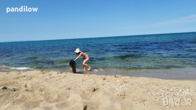 Немска овчарка си търси приятелка, снимка 6 - Немска овчарка - 51233977