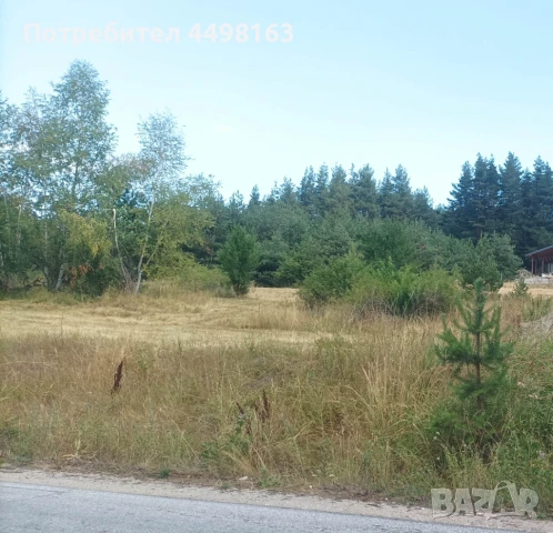 Парцел град Батак  местност Друма , снимка 5 - Земеделска земя - 51239759