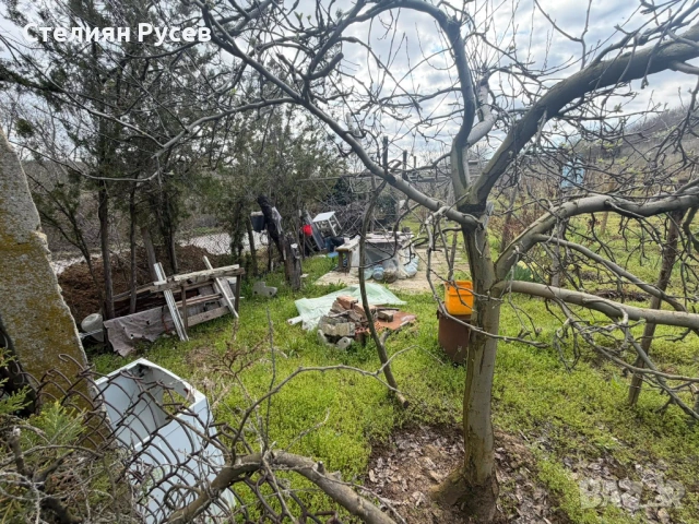  794 кв лозе  НА ПЪРВА ЛИНИЯ  / ГРАДИНА / терен / парцел / в гр. Силистра - ПОД ОСМИ ПОСТ , пътя за , снимка 4 - Земеделска земя - 54133231