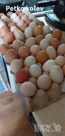 Продавам домашни яйца и прясно краве мляко !!