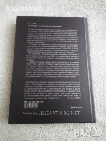 Две студии по аналитична психология К. Г. Юнг, снимка 2 - Специализирана литература - 51911285