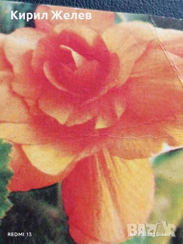 Старо календарче от соца 86г. за КОЛЕКЦИОНЕРИ 7125, снимка 2 - Колекции - 51216760