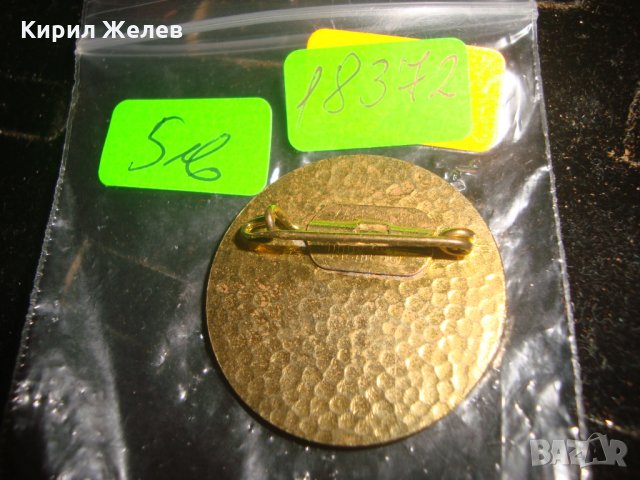 СТАРА ПОЗЛАТЕНА НЕМСКА БРОНЗОВА КОЛЕКЦИОНЕРСКА ЗНАЧКА 18372, снимка 4 - Колекции - 30966681