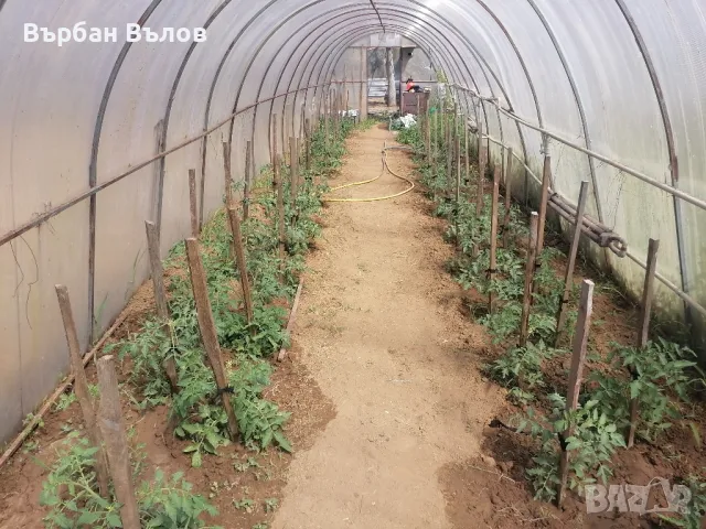 Изработване на селскостопански конструкции, снимка 4 - Монтажи - 50043012