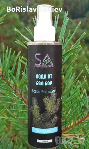 Флорални Води, снимка 4 - Други - 44264121