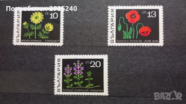 Филателия България - 1969, снимка 5 - Филателия - 50368010