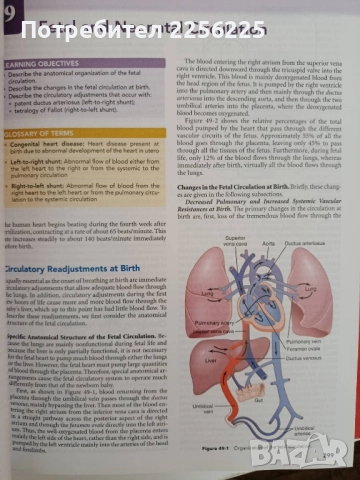 ЛОТ Медицинска физиология, снимка 2 - Специализирана литература - 52280728